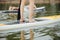 Clouse-up of a woman legs on paddleboard