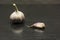 Clove and bulb garlic.