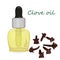 Clove essential oil vector illustration Aromatherapy