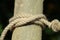 Clove hitch