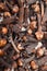 Clove indian-cloves ding xiang laung clavo clou de girofle chiodo di garofano qurnafl nelke closeup view image photo