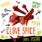 Clove spice icon herb label fresh organic condiment, nuts herbs spice condiment color graphic design vegan food.
