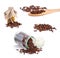 Clove on white background.