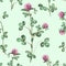 Clover background