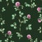 Clover background