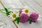 Clover flowers and daisies on the table