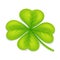 Clover four leaf irish saint patrick day ireland feast luck simbol 3d isolated icon design vector illustration