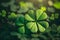 clover in the ground. St patrick\'s Day. Earth day.