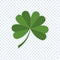 Clover icon, four Green leaves on transparent background.