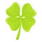 Clover irish icon, cartoon style