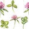 Clover leaf and flowers hand drawn seamless pattern watercolor illustration. Happy Saint Patricks Day.