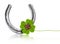 Clover Leaf with Horseshoe