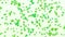 Clover leafs falling for St. Patrick`s day background looped