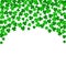 Clover leaves on a green background with three-leafed trefoils. St. Patrick`s Day holiday symbol. holiday background