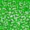 Clover leaves on a green background with three-leafed trefoils. St. Patrick`s Day holiday symbol. holiday background