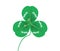 Clover leaves with waterdrop (vector)