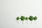 Clover leaves on white table, flat lay with space for text. St. Patrick`s Day symbol