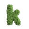 Clover letter K - Small 3d spring font - Suitable for Nature, ecology or environment related subjects