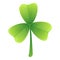 Clover luck icon, cartoon style