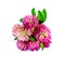 Clover pink bouquet