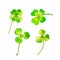 Clover set for Saint Patricks day, watercolor illustration in hand-drawn style.