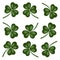 Clover trefoil white background. Isolated green leaves - elegant decor for wrapping paper for St. Patricks Day. Bright pages for a