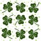 Clover trefoil white background. Isolated green leaves - elegant decor for wrapping paper for St. Patricks Day. Bright pages for a