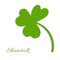 Cloverleaf on a green background. Silhouette of the magical plant. Decoration for St. Patrick`s Day, trefoil, Shamrock. Hand draw