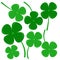 Clovers, sign of hope believe love and lucky