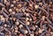 Cloves macro