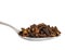Cloves Macro Closeup Isolated Of Spoonful Spoon