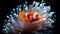 Clown anemonefish (Amphiprion percula) in the sea anemone, isolated on black background. Generative AI