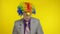 Clown businessman entrepreneur boss in wig at work. Halloween. Yellow background