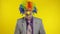 Clown businessman entrepreneur boss in wig at work. Halloween. Yellow background