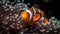 Clown fish swimming in vibrant reef, showcasing natural beauty generated by AI