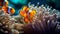 Clown fish swimming in vibrant underwater reef generated by AI