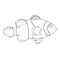 Clownfish Illustration. Outline drawing on white background