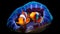 A clownfish nestled inside its host anemone, showcasing the vibrant colors of both the fish and