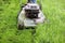 Clsoeup of a lawnmower cutting tall grass