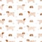 Clumber spaniel seamless pattern. Different poses, coat colors set