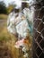 A clump of plastic bags faded and torn caught in a barbed wire fence.. AI generation