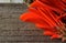 CLUSTER OF BRIGHT RED CORAL TREE FLOWERS ON AN OLD WOODEN BOARD