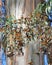 Cluster of butterflies in Eucalyptus Tree