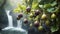 A cluster of figs hanging from a tree waterfall framed by lush foliage,