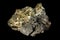 Cluster of golden pyrite crystals