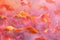 A cluster of goldfish is on a pink background.