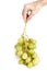 Cluster of green grapes held by a woman`s hand on a white background. Healthy food concept