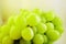 A cluster of green grapes on a white background