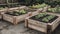 A cluster of grey cemented planting beds bordered with wooden planks. AI generated