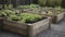 A cluster of grey cemented planting beds bordered with wooden planks. AI generated